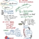 Sam Decker Success Influencer World Part 1