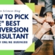 Here is a list of questions you may - and should - ask before you choose the best conversion optimization consultant for your online business.