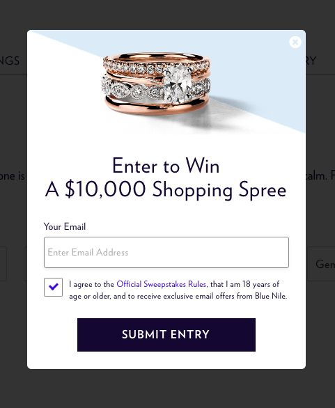 blue nile newsletter optin on checkout pages If your marketer’s biggest concern is keeping in touch with newly-acquired shoppers, a simple opt-in to your newsletter will suffice. Be our guest, but why not give us your email address for a chance to win a $10K shopping spree at Blue Nile?